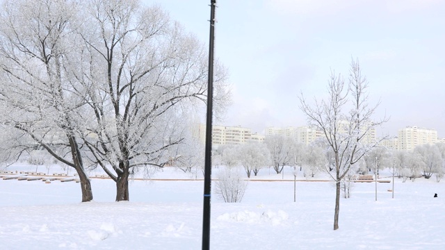 被白雪覆盖的城市公园视频素材