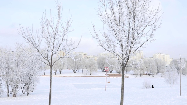 被白雪覆盖的城市公园视频素材