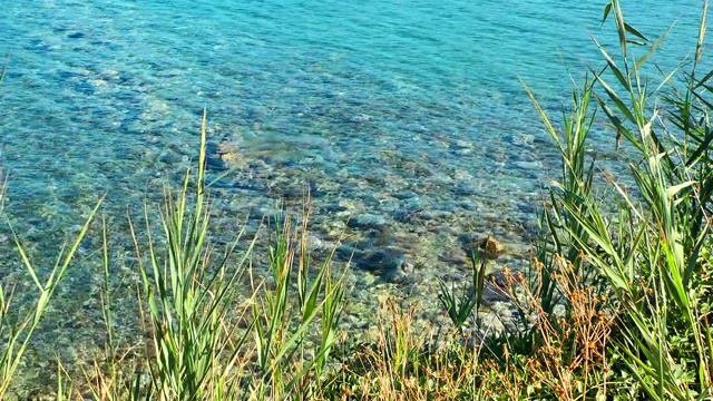 海滨海滩海景假日概念视频素材