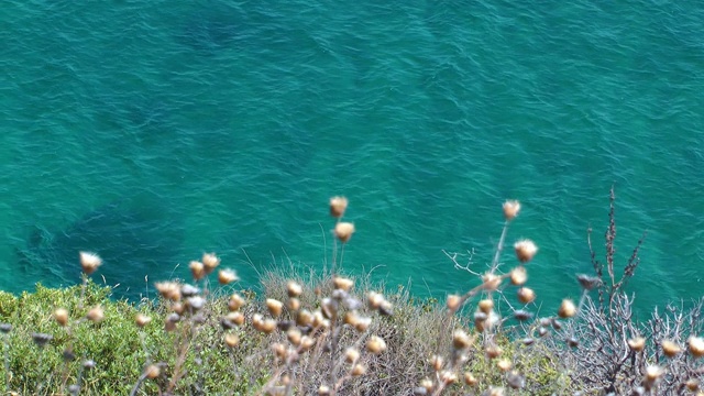 海滨海滩海景假日概念视频素材