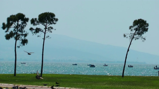 海滨海滩海景假日概念视频素材