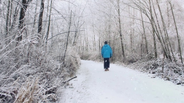 在暴风雪中，一个人走在树林里视频素材