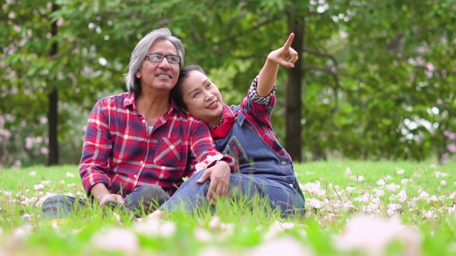 慢镜头:老农夫妇在花园里愉快地坐着聊天。视频素材