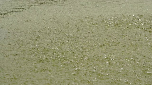 雨滴落在池塘里视频素材