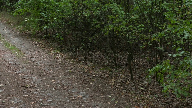 一个骑自行车的人沿着一条道路通过一个农村地区-顶部正面的观点视频素材