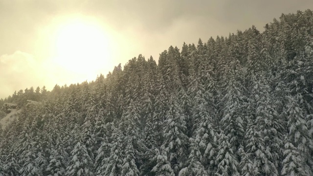 在暴风雪中飞过白雪覆盖的森林，朝着太阳飞去视频素材