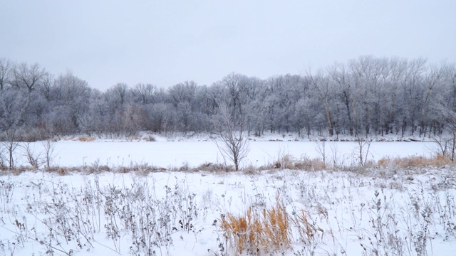 冬天的风景。白雪覆盖着河流和森林视频素材