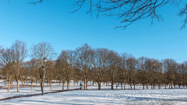 挪威奥斯陆延时4K，维格兰公园冬季雪景延时视频素材