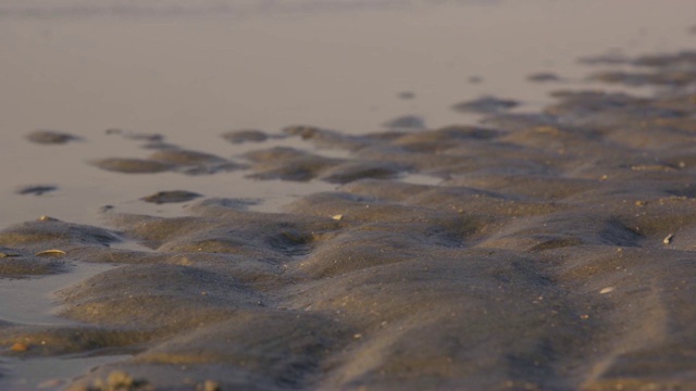 秋天的海滩——丹麦视频素材