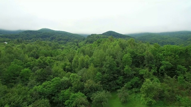 在山的上空飞行被雾所覆盖。仙女般的绿树和花园。视频素材