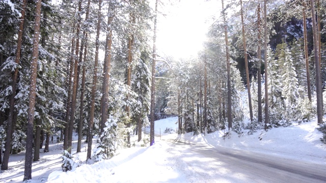 冬季山地森林景观和从树上飘落的雪视频下载