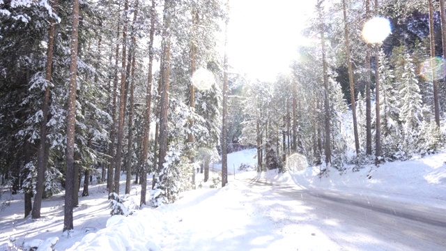 冬季山地森林景观和从树上飘落的雪视频下载