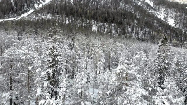 无人机的雪山冬季森林景观视频素材