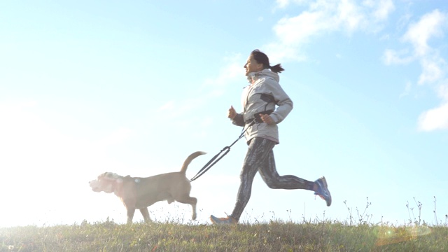 阳光明媚的晨练。慢镜头的女性跑他的小猎犬和幸福的微笑视频素材