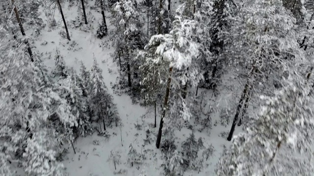 无人机的雪山冬季森林景观视频下载