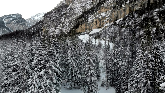 无人机的雪山冬季森林景观视频下载