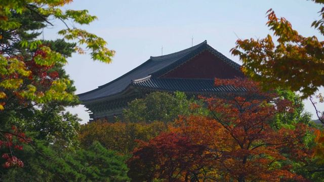 韩国秋天的景福宫视频素材