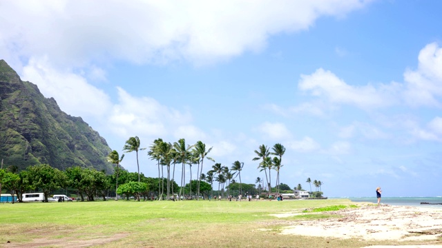 夏威夷瓦胡岛白天的库亚罗亚海滩和棕榈树视频素材