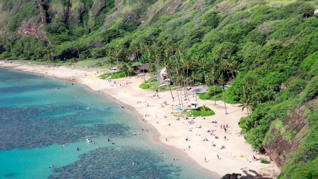 在美国夏威夷瓦胡岛哈瑙马湾海滩浮潜的人们视频素材