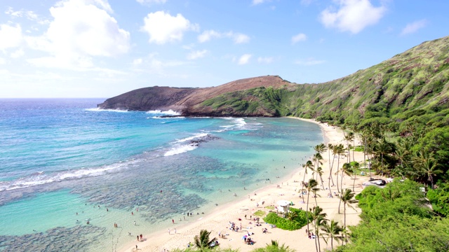 在美国夏威夷瓦胡岛哈瑙马湾海滩浮潜的人们视频素材