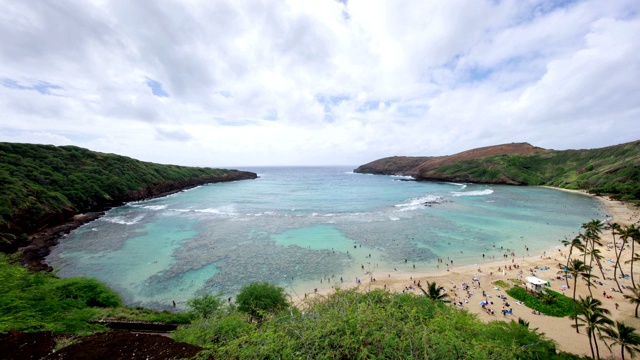 在美国夏威夷瓦胡岛哈瑙马湾海滩浮潜的人们视频素材