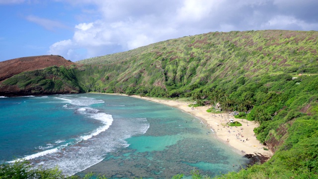 在美国夏威夷瓦胡岛哈瑙马湾海滩浮潜的人们视频素材