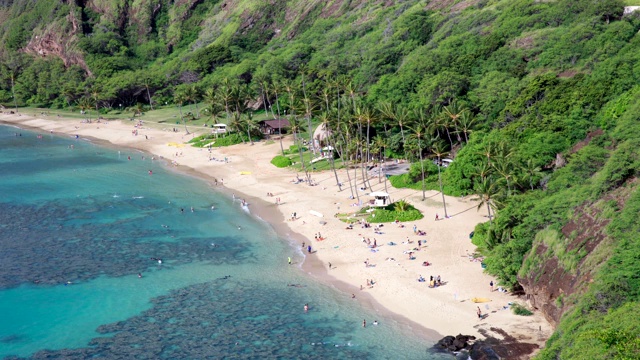 在美国夏威夷瓦胡岛哈瑙马湾海滩浮潜的人们视频素材