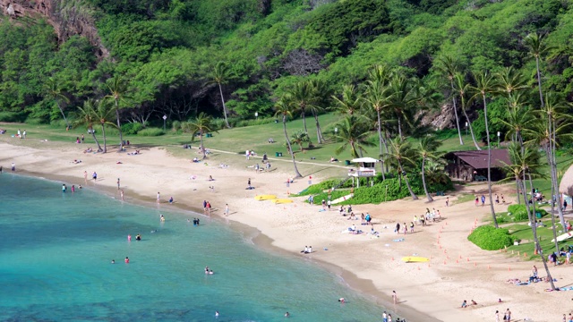 在美国夏威夷瓦胡岛哈瑙马湾海滩浮潜的人们视频素材