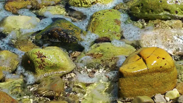 海边的石头视频素材