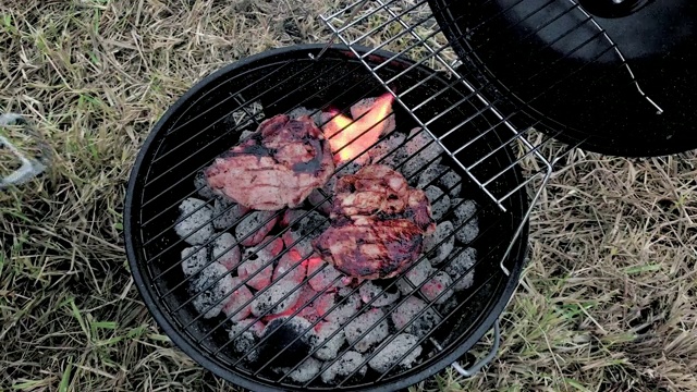 在烤架上烤肉排视频素材