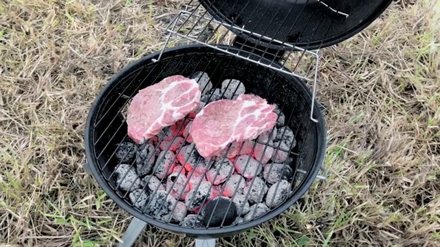 在烤架上烤肉排视频素材