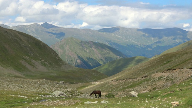 在东白山，高加索，俄罗斯，欧洲国家公园观赏山景视频素材