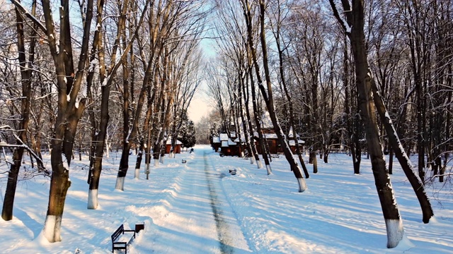 冰雪覆盖的道路和冬天森林里的松树。冬天的森林自然景观在寒冷的一天雪山冬天森林。视频素材