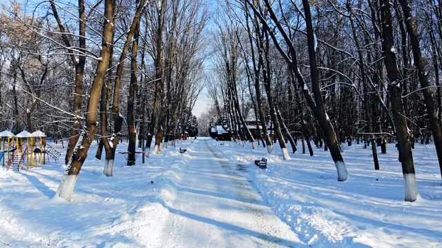 冬季雪道在森林中自然景观在寒冷的日子在冬季森林。视频素材