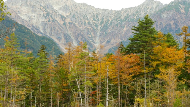 位于日本长野县阿尔卑斯山北部的阿祖萨有一条河流流经，以山脉为背景，以旅游和自然为概念。视频素材