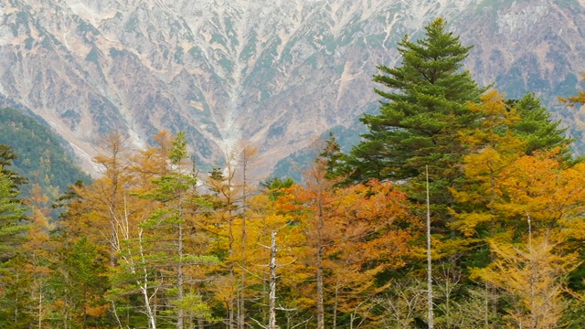 位于日本长野县阿尔卑斯山北部的阿祖萨有一条河流流经，以山脉为背景，以旅游和自然为概念。视频素材