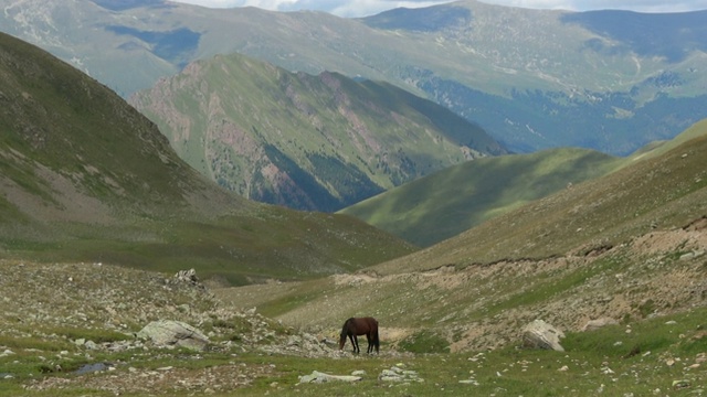 在东白山，高加索，俄罗斯，欧洲国家公园观赏山景视频素材