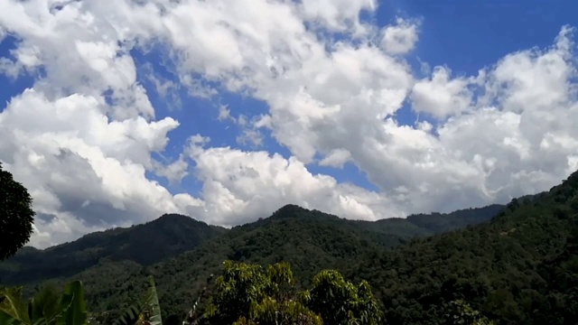 雨林上空美丽蓝天的时间流逝视频素材