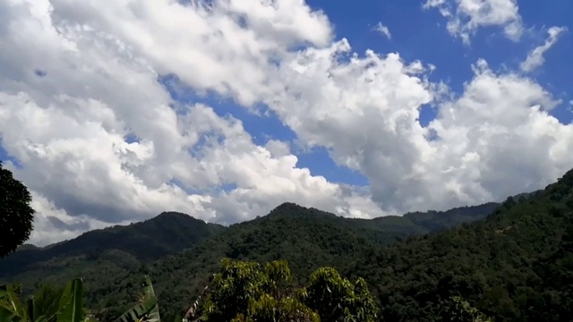 雨林上空美丽蓝天的时间流逝视频素材