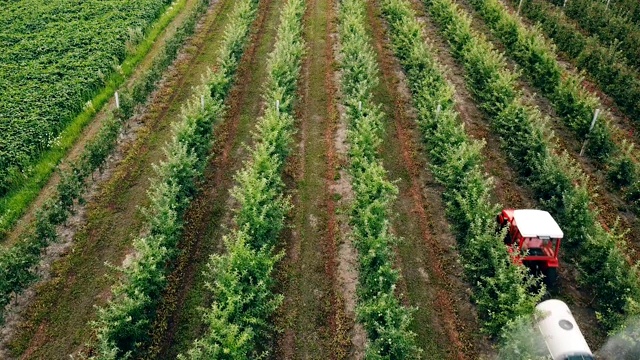 用拖拉机喷洒苹果树视频素材