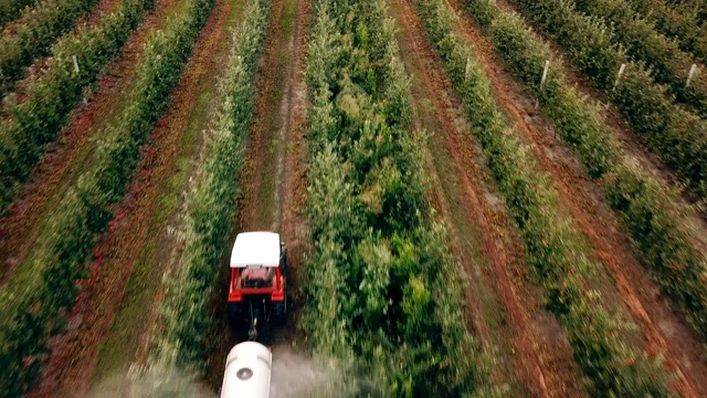 用拖拉机喷洒苹果树视频素材