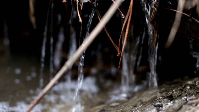 冬天过后，森林里的雪融化了视频素材