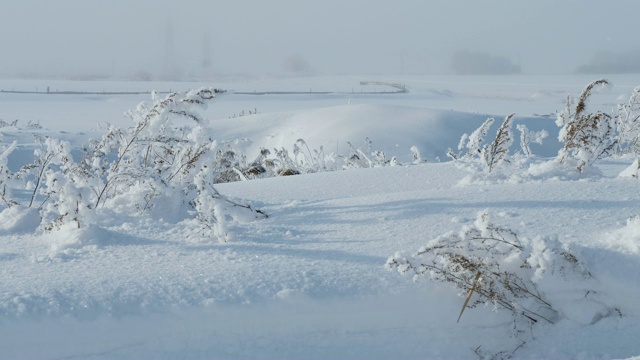 大电线在俄罗斯村庄的冬天，美丽的冬天，树枝覆盖着冰雪，下雪的俄罗斯草原视频素材