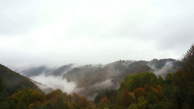 在山顶森林中的雾运动-时间流逝视频素材