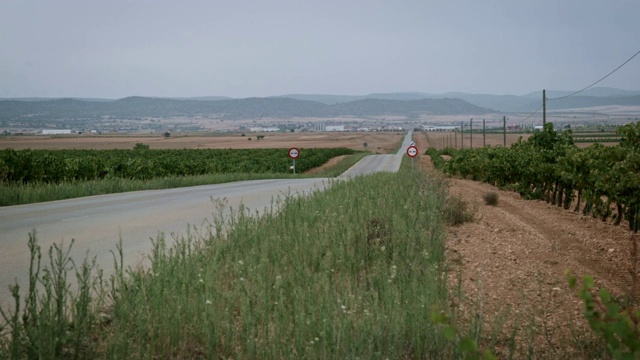 荒芜的道路和葡萄园视频素材