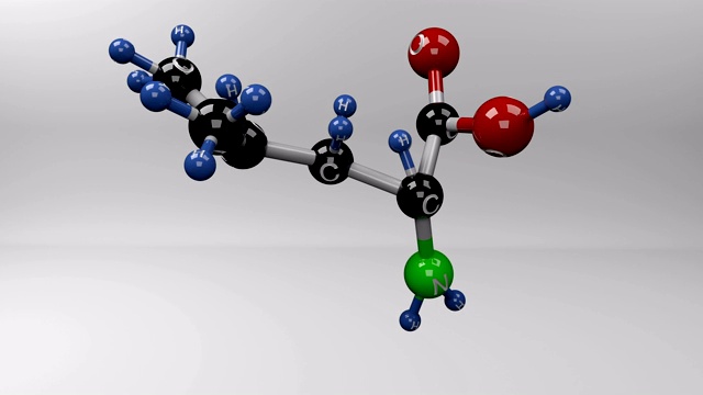 亮氨酸分子。视频素材