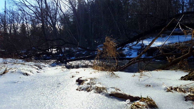 冬天下雪的河岸河。凉水与河畔雪环绕美丽的森林。视频素材