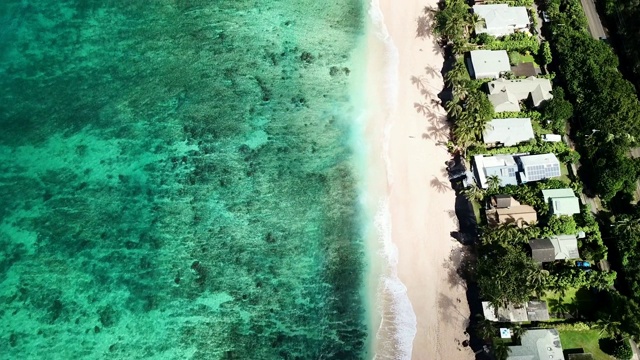 鸟瞰图:沿着海岸线，有清澈的海洋，海滩，建筑物和道路视频素材