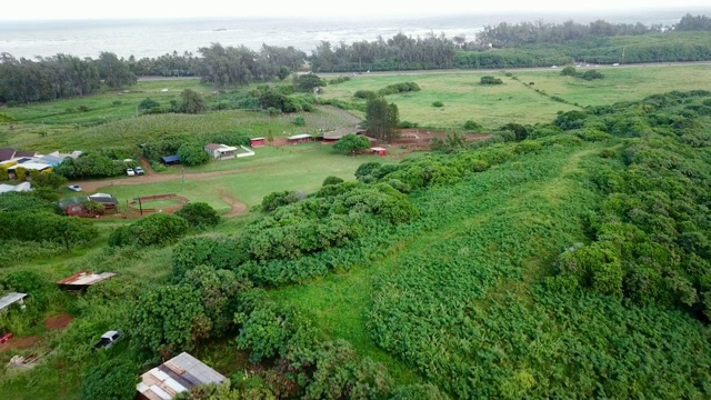 航拍:在海岸边的乡村景观中，建筑和农场动物视频素材