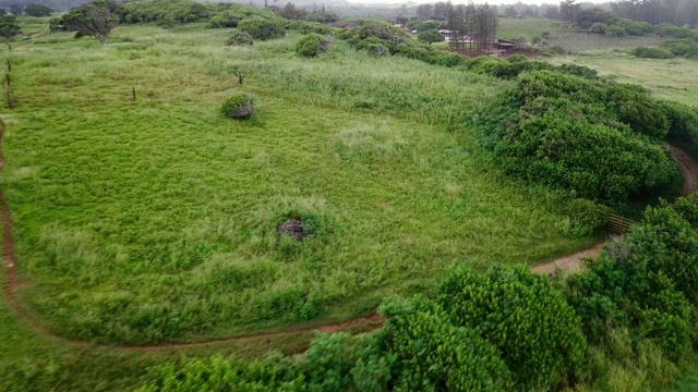 鸟瞰图:通过绿色的田野与泥路和马草场视频素材